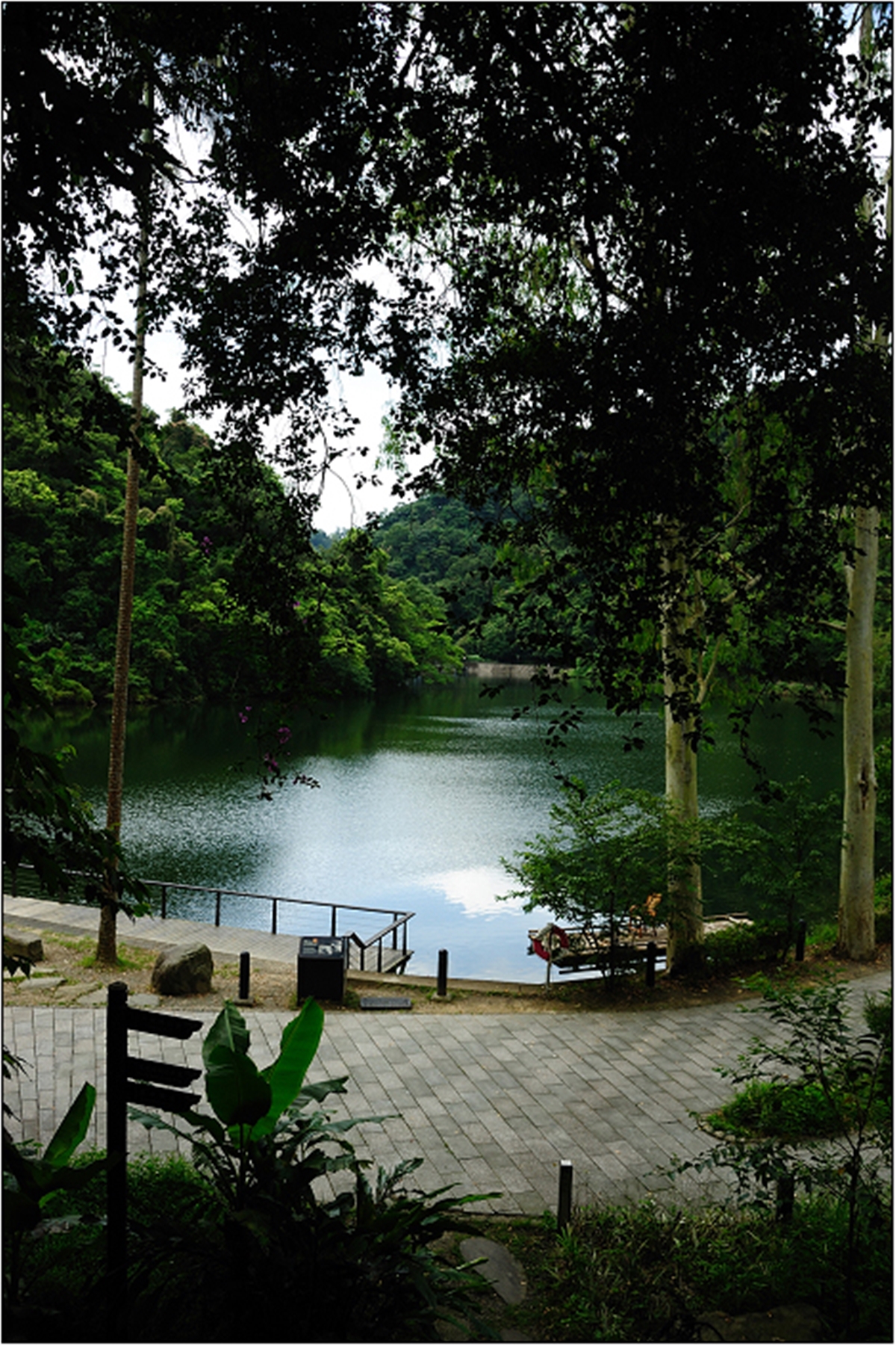 桃園大溪「秘境步道」暌違３年重開放！6/21前預約成功免門票，攻略一次看