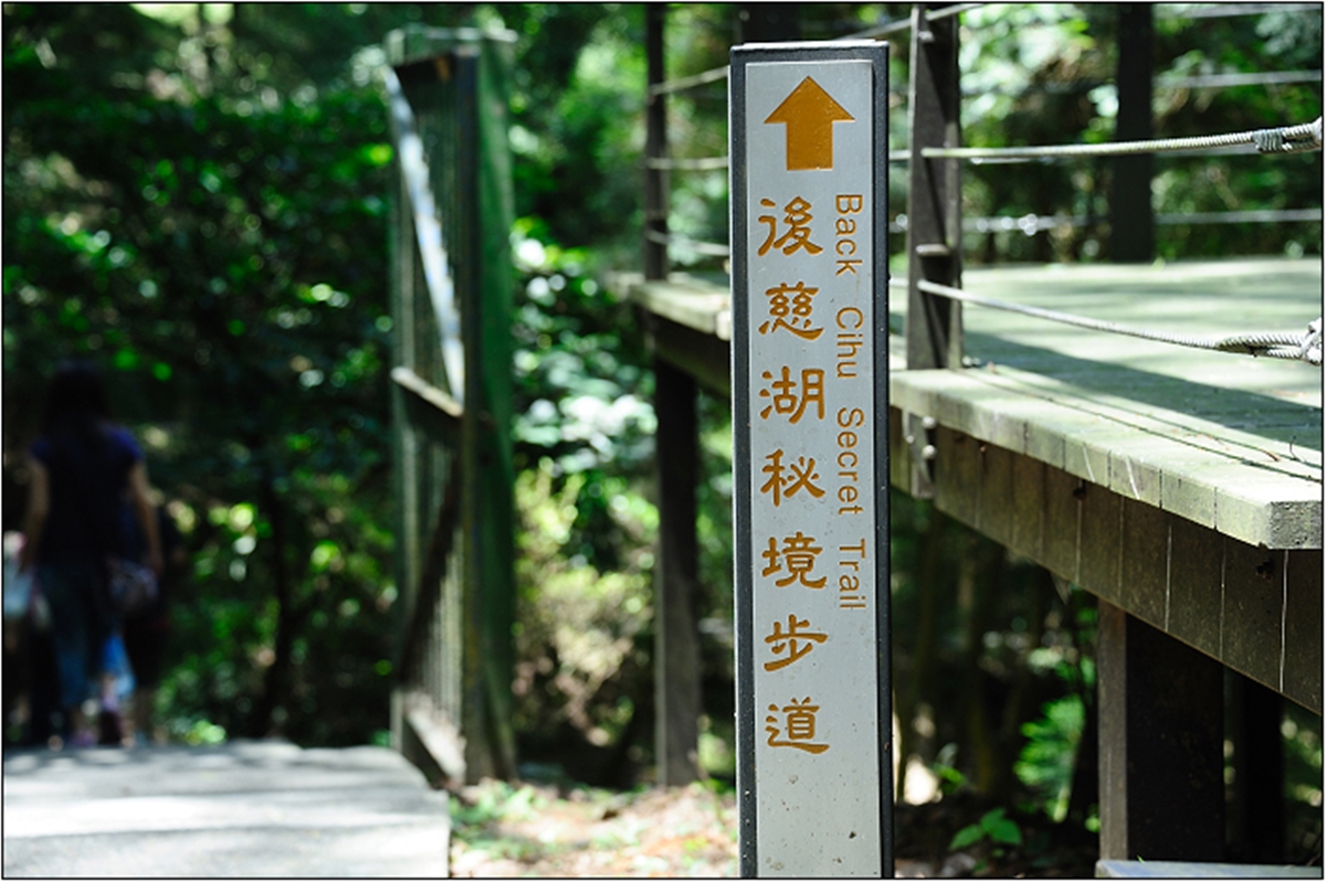 桃園大溪「秘境步道」暌違３年重開放！6/21前預約成功免門票，攻略一次看