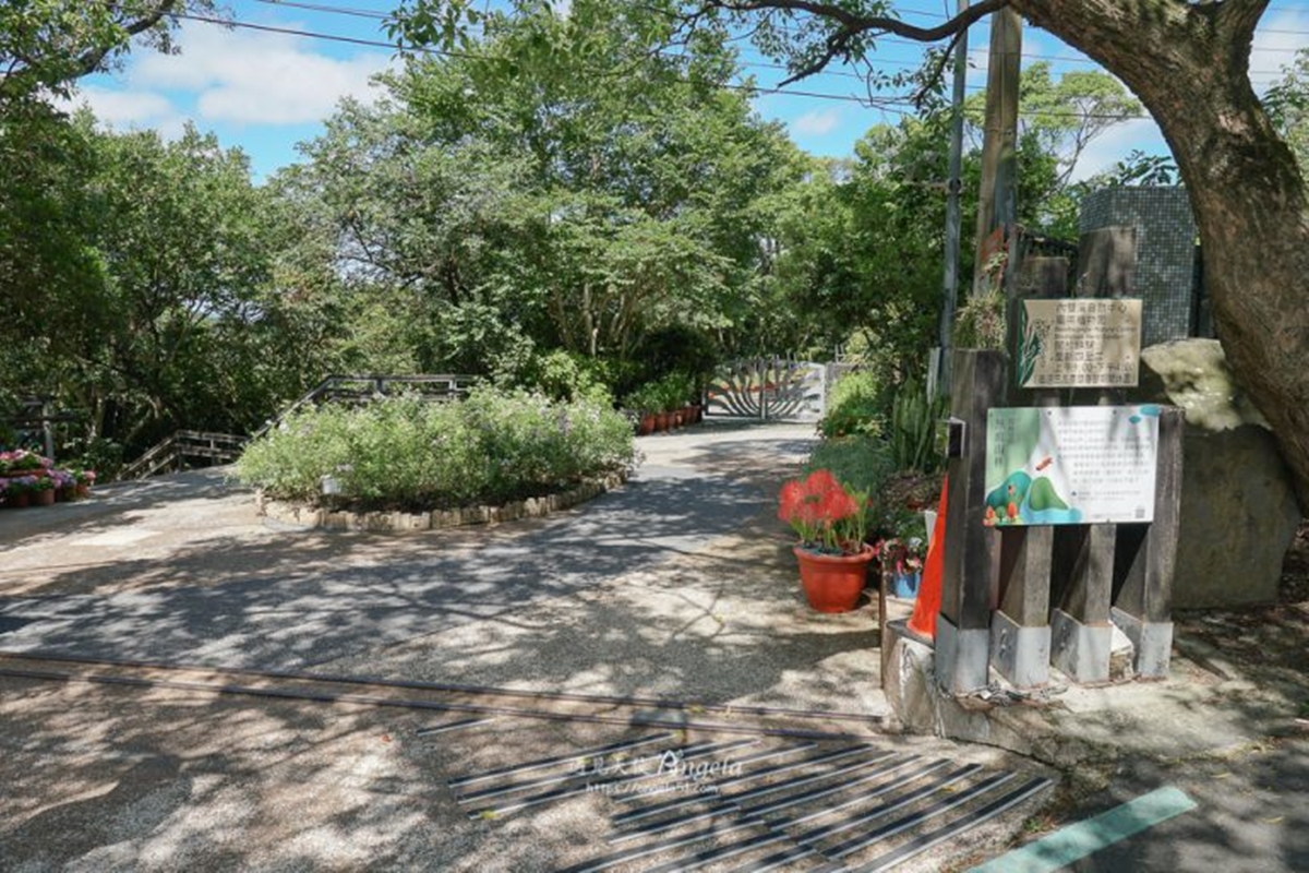 初夏最仙「紫色花海」在台北！內雙溪愛情花季5/16登場，免費入園、公車輕鬆到