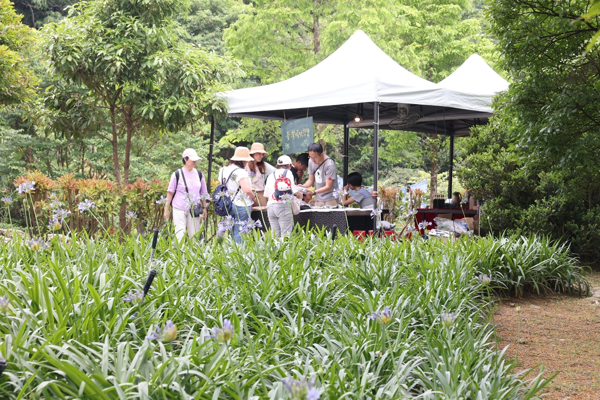 初夏最仙「紫色花海」在台北！內雙溪愛情花季5/16登場，免費入園、公車輕鬆到
