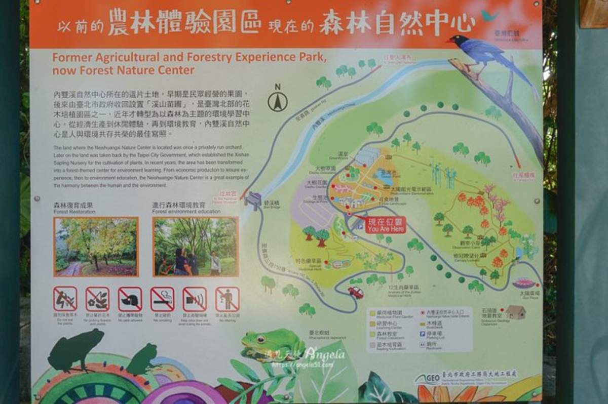 初夏最仙「紫色花海」在台北！內雙溪愛情花季5/16登場，免費入園、公車輕鬆到