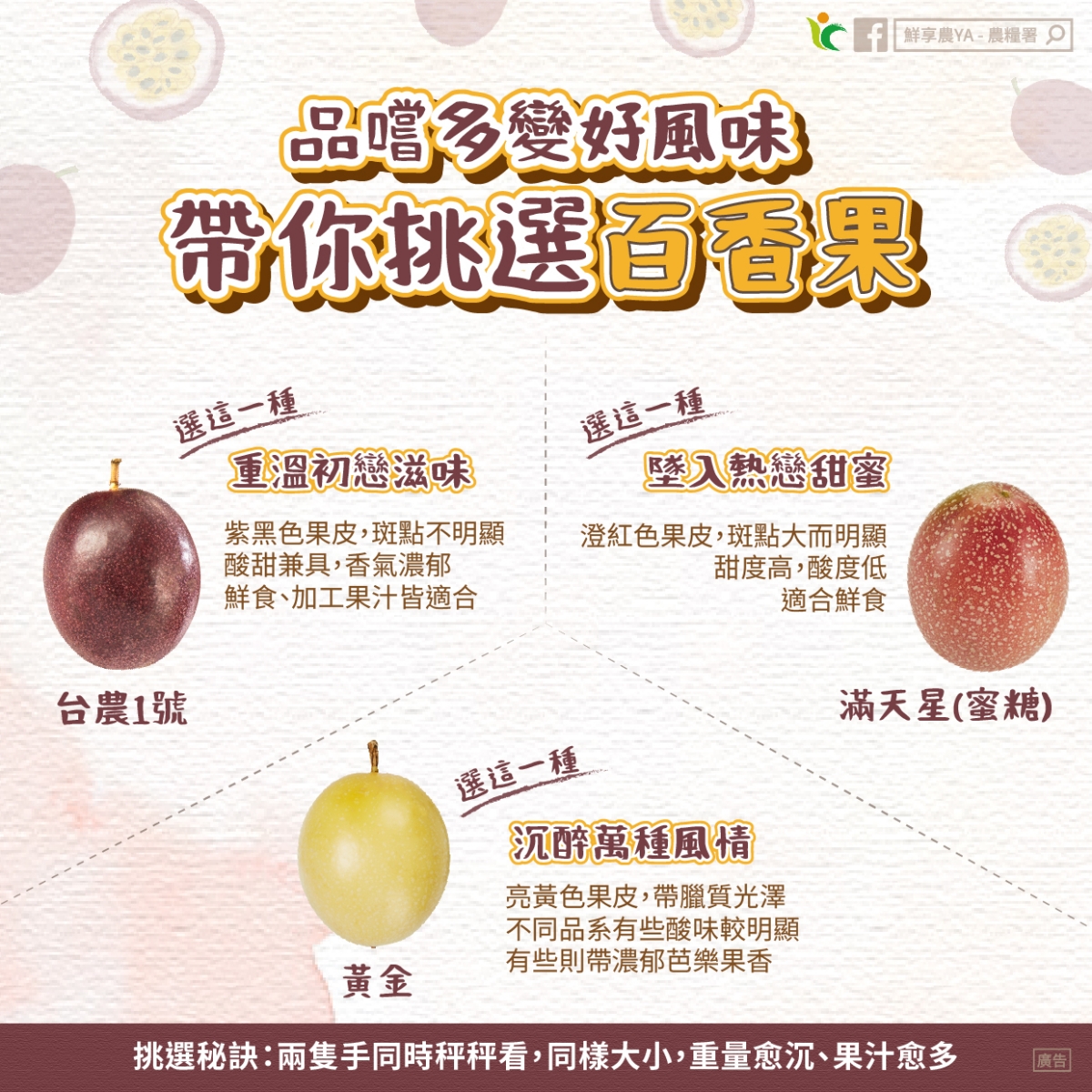 減肥聖品「百香果」怎麼挑？農民親授３招技巧，隱藏吃法＋品種風味一次看
