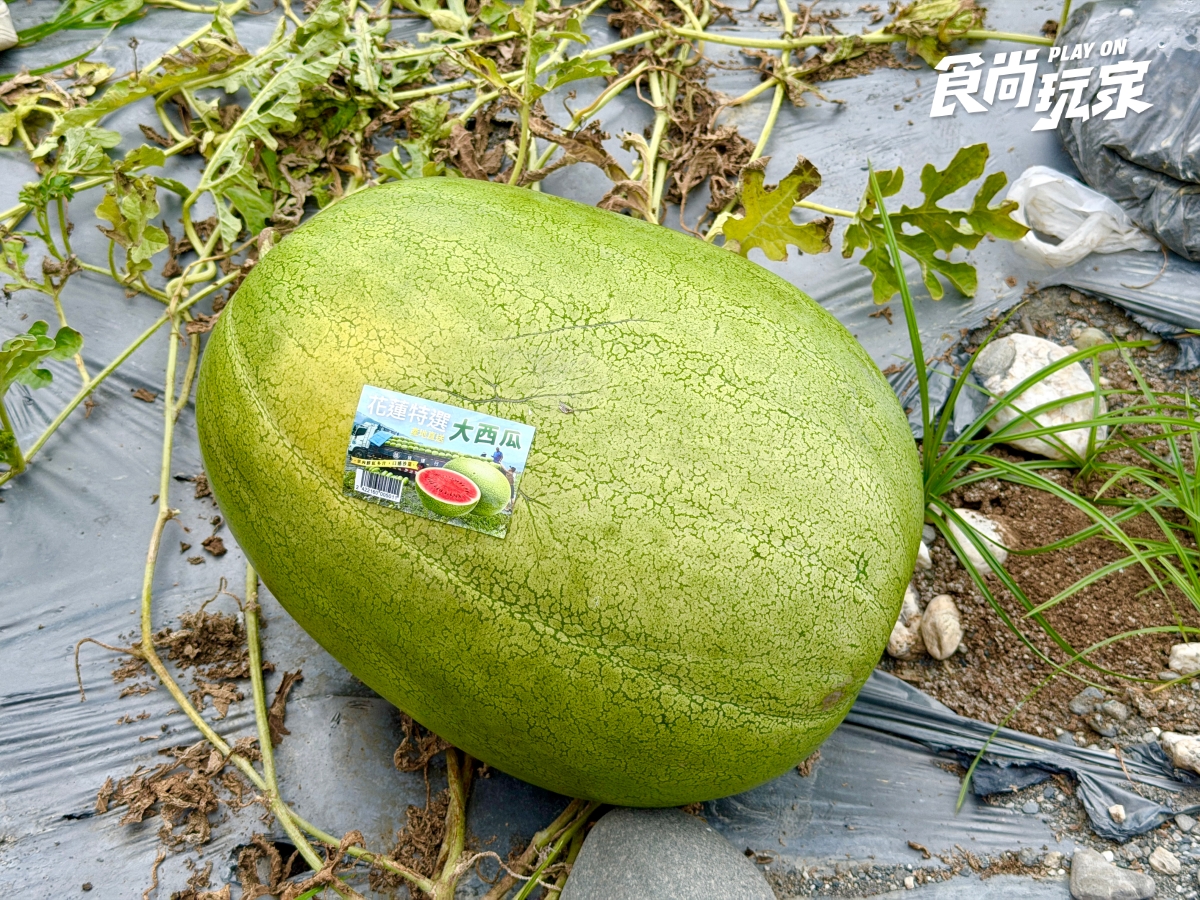 夏季最夯水果特價！農民親授「西瓜、芒果」挑選方式，口感＋必吃推薦一次看