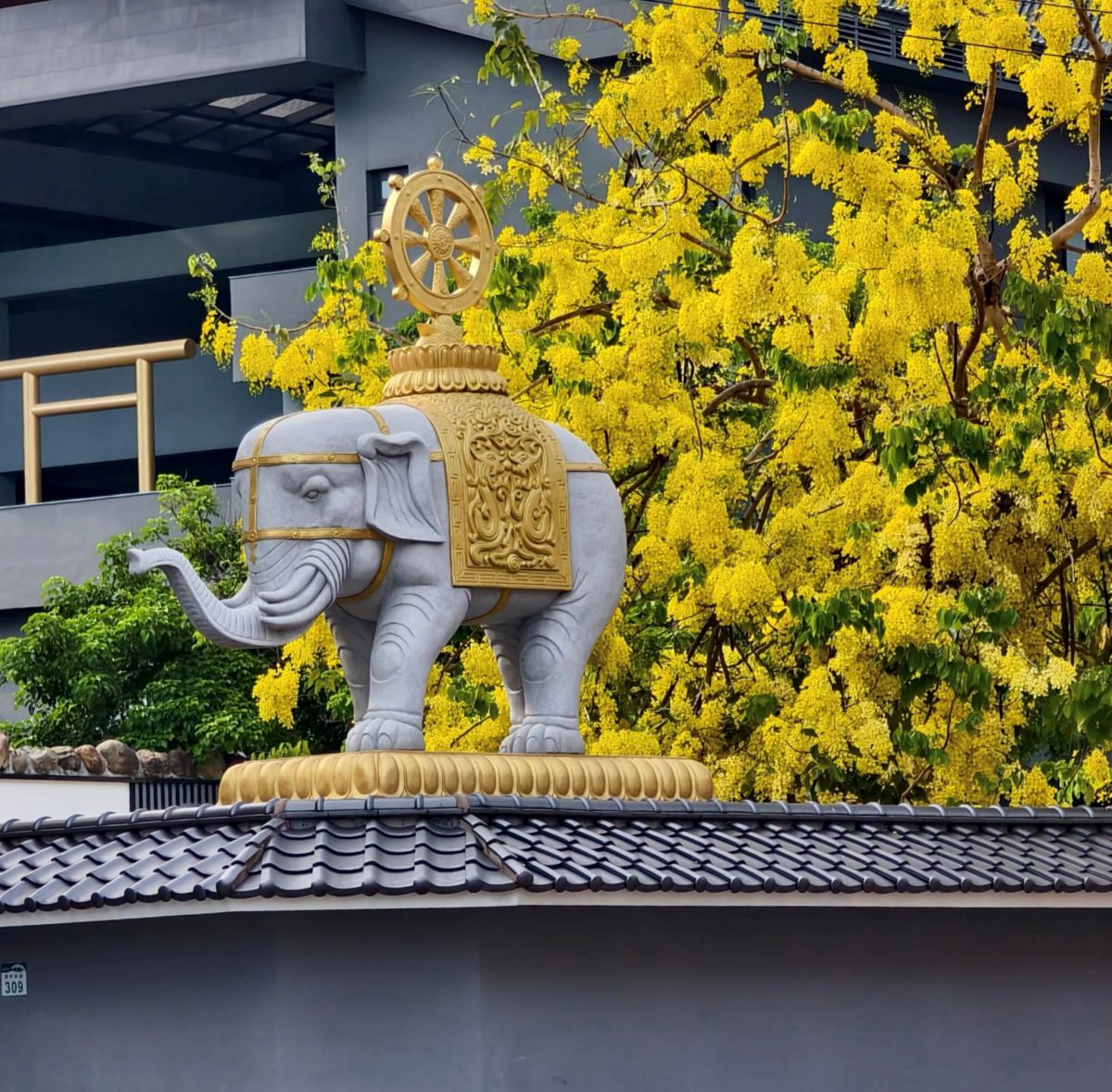 這不是日本！高雄隱藏版「阿勃勒森林」免費拍，古樸佛寺下起黃金雨超浪漫