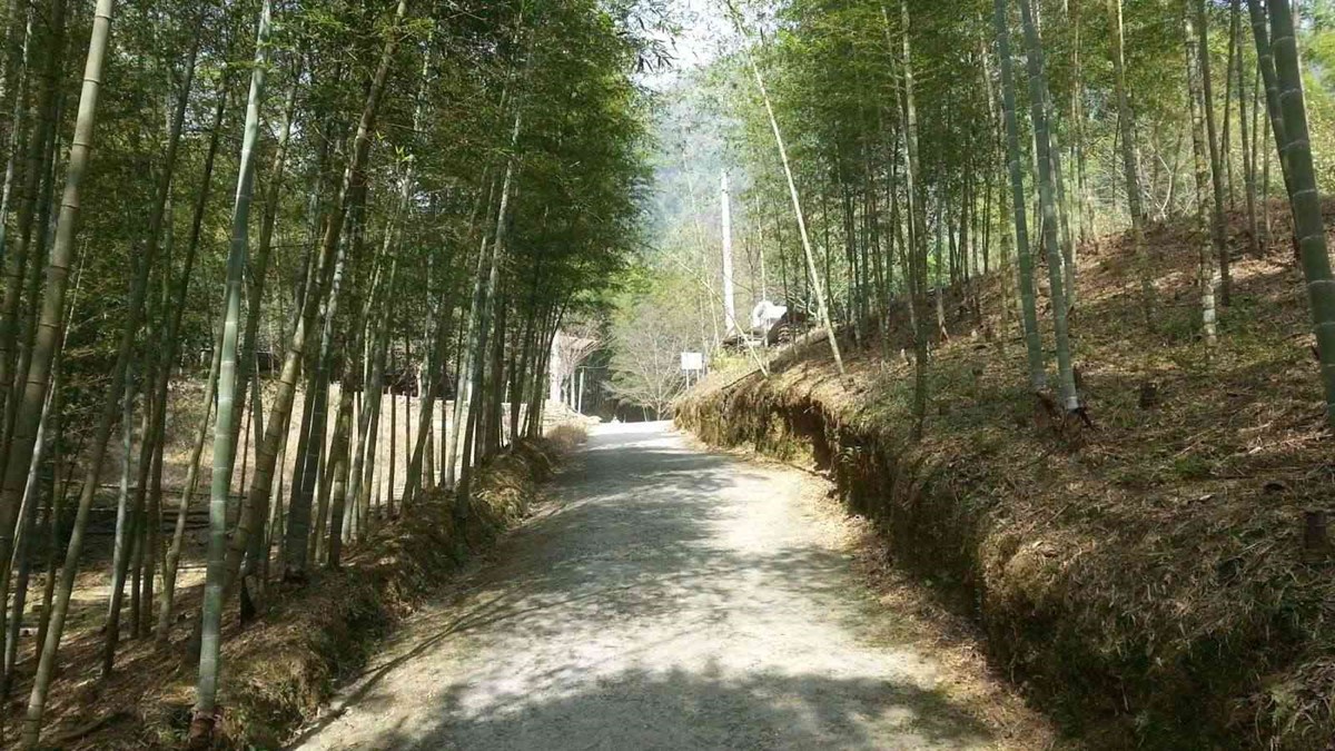 南投全新地標！「竹山天梯纜車」最快這時完工，４大車站串聯峽谷、瀑布美景