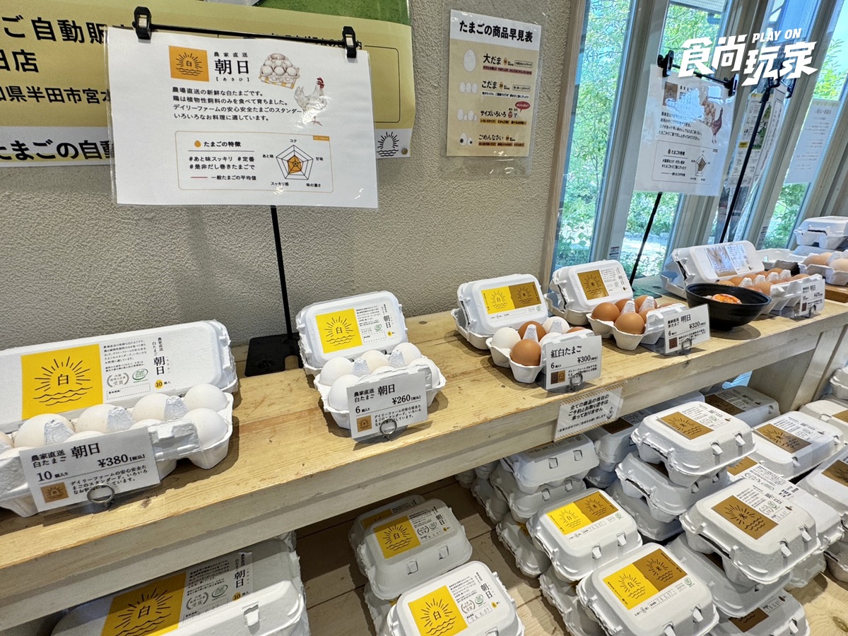 日本人私藏雞蛋樂園太可愛！布丁、蛋糕中午前秒殺，爆紅蛋包飯也能一站吃