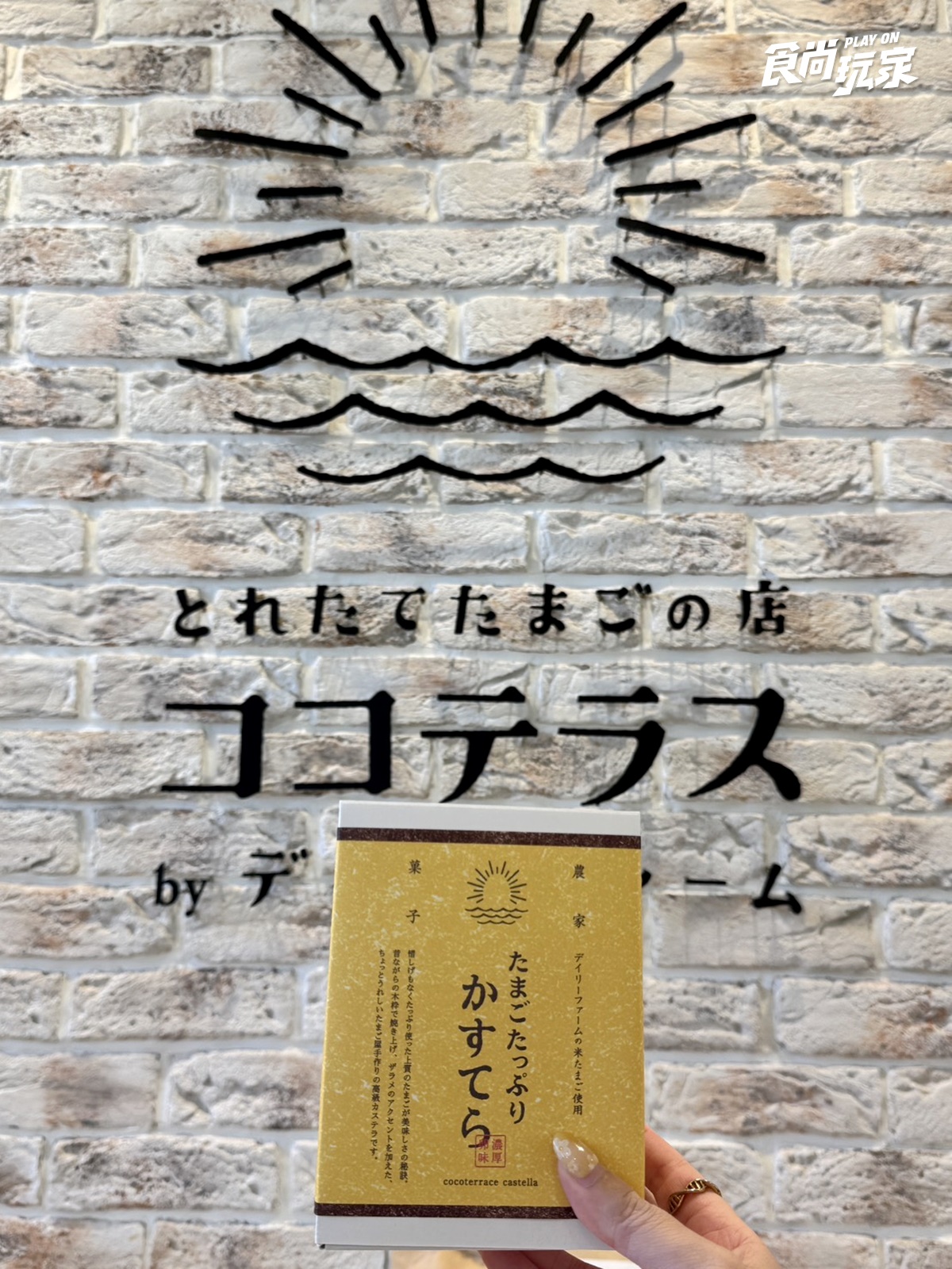 日本人私藏雞蛋樂園太可愛！布丁、蛋糕中午前秒殺，爆紅蛋包飯也能一站吃