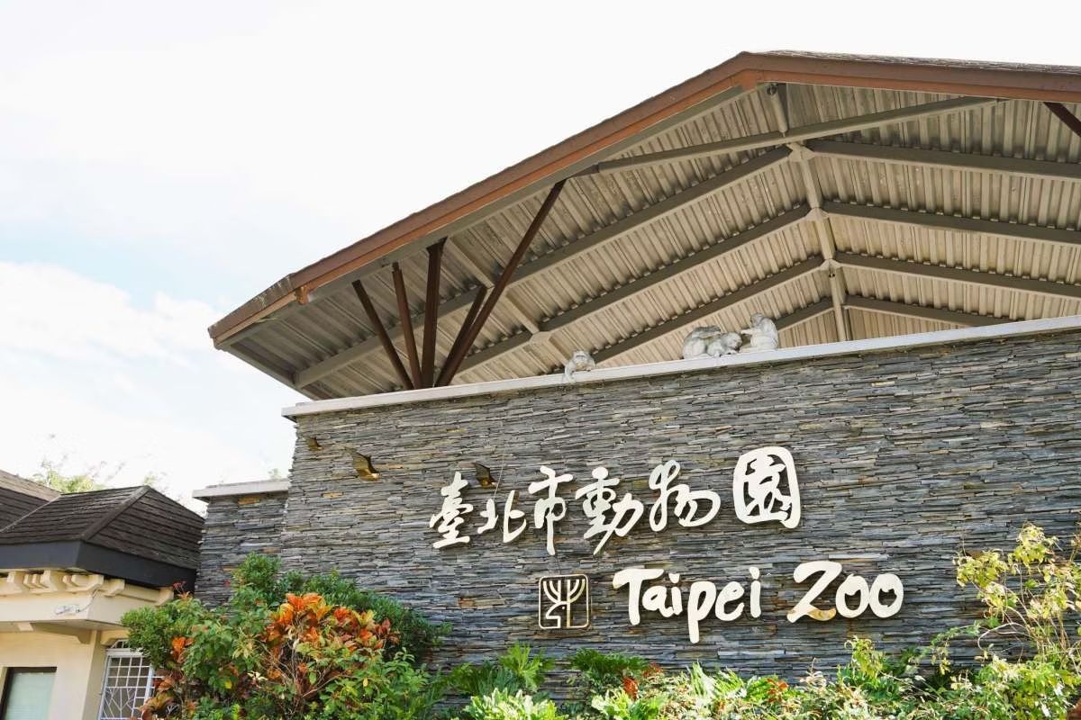 木柵動物園「夜間開放」暑假登場!超萌小貓熊、馬來貘報到,暑期營隊快搶訂 木柵動物園「夜間開放」暑假登場!超萌小貓熊、馬來貘報到,暑期營隊快搶訂