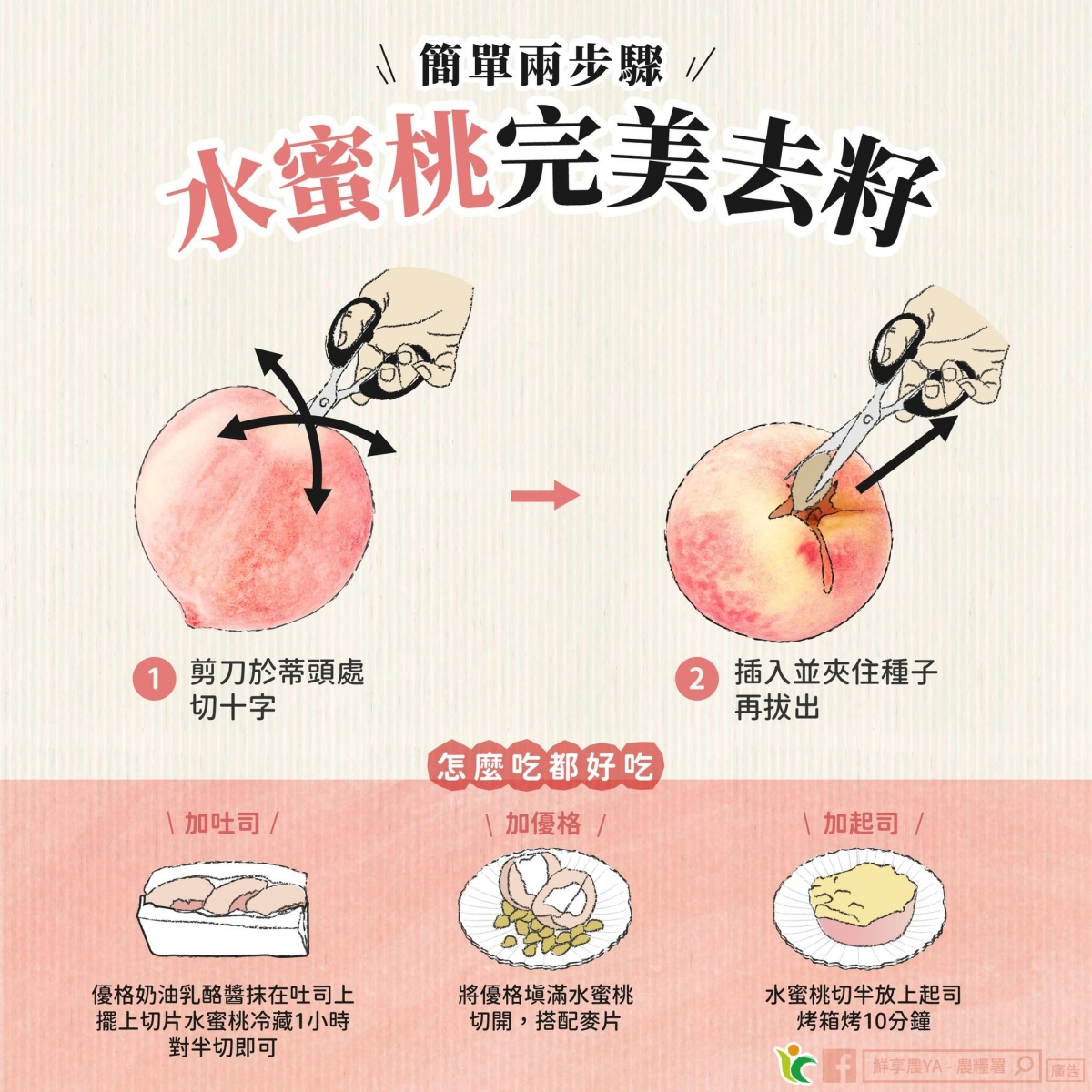 水蜜桃別直接冷藏!農糧署公開正確保存法不變黑,加碼3招挑選香甜多汁 水蜜桃別直接冷藏!農糧署公開正確保存法不變黑,加碼3招挑選香甜多汁
