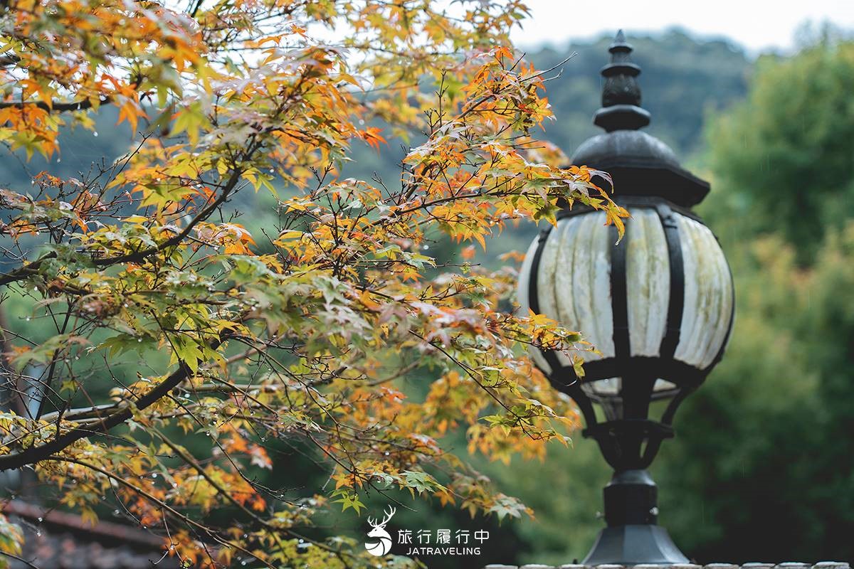 限時門票只要10元!夏季避暑秘境「奧萬大森林遊樂區」,走步道、看吊橋美景 限時門票只要10元!夏季避暑秘境「奧萬大森林遊樂區」,走步道、看吊橋美景