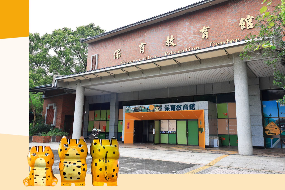 鐵道迷衝一波！集集線6/25全線復駛，石虎車票開搶、搭小火車玩遍山城美景