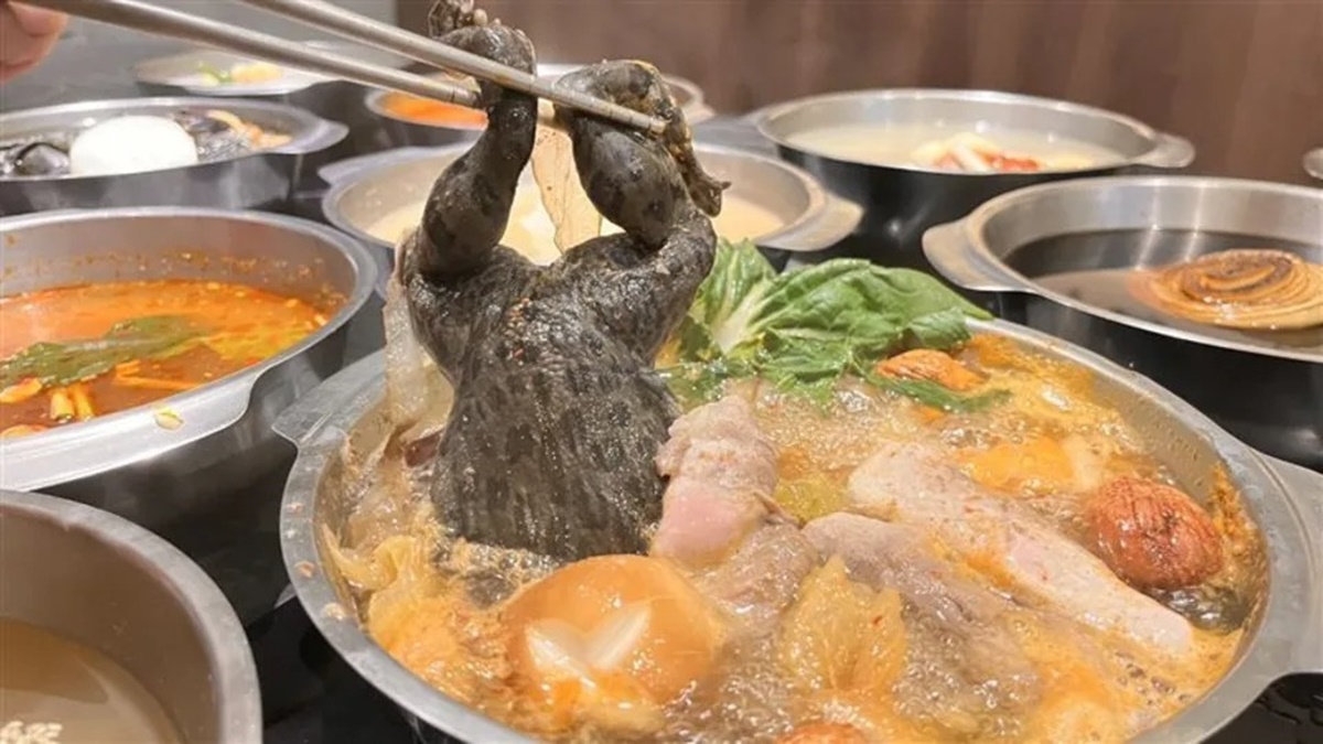 全台首推「虎斑青蛙火鍋」超獵奇！469元起吃到飽，百款自助吧＋芒果無限夾