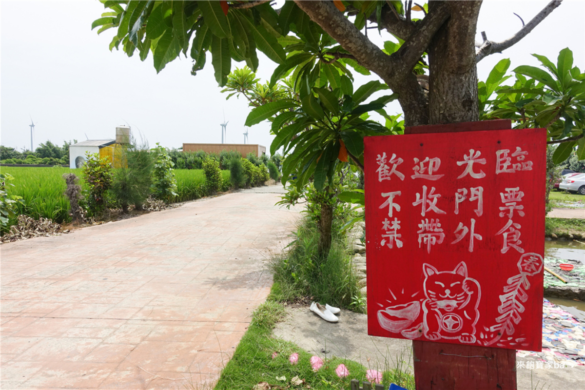 60元暢玩！生態農場免門票入場，摸蛤、撐竿划船、冷泉消暑一次滿足