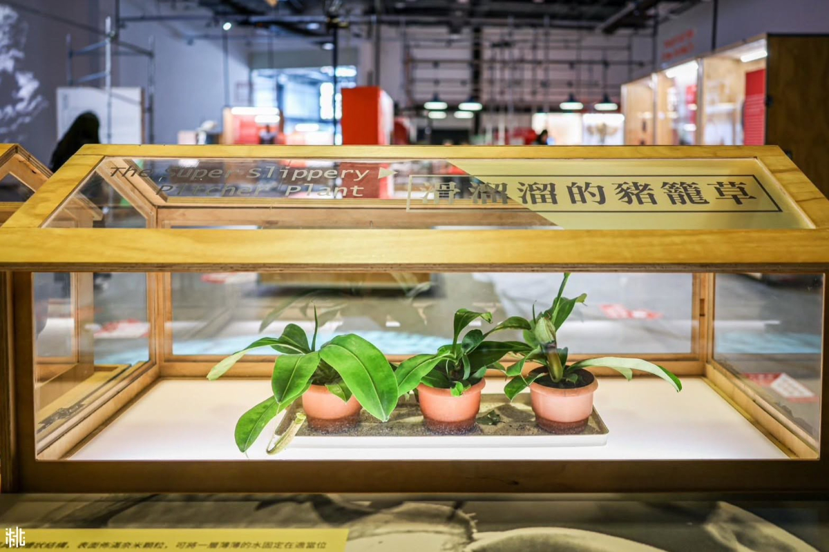 暑假免費展覽！探索解密動植物、沉浸式森林劇場、DIY創作，走進板橋2D漫畫世界