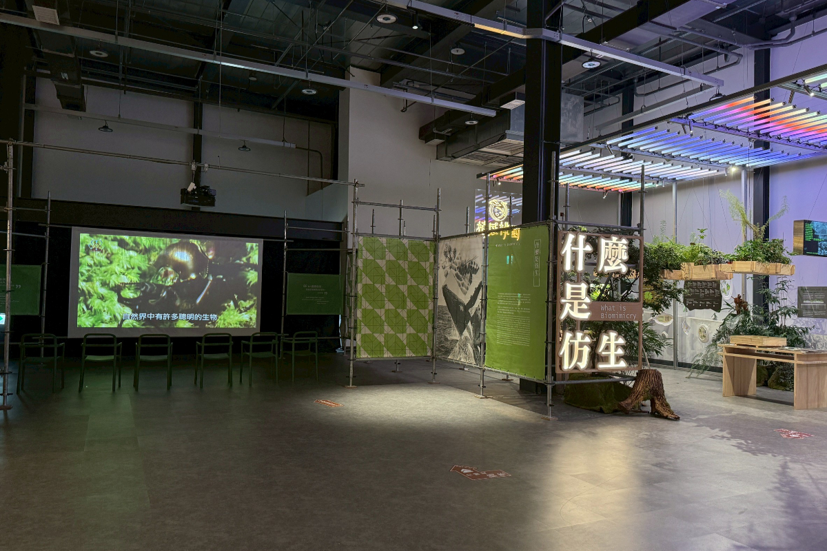 暑假免費展覽！探索解密動植物、沉浸式森林劇場、DIY創作，走進板橋2D漫畫世界