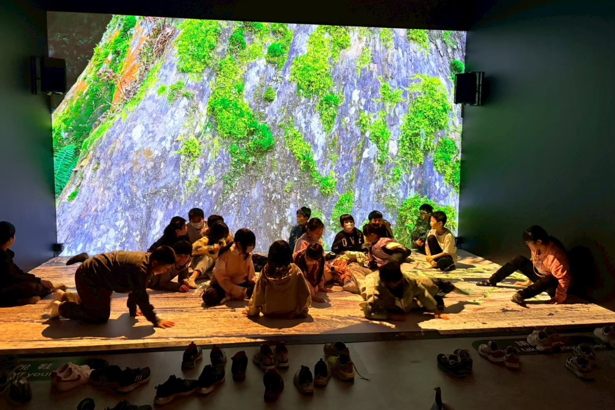 暑假免費展覽！探索解密動植物、沉浸式森林劇場、DIY創作，走進板橋2D漫畫世界