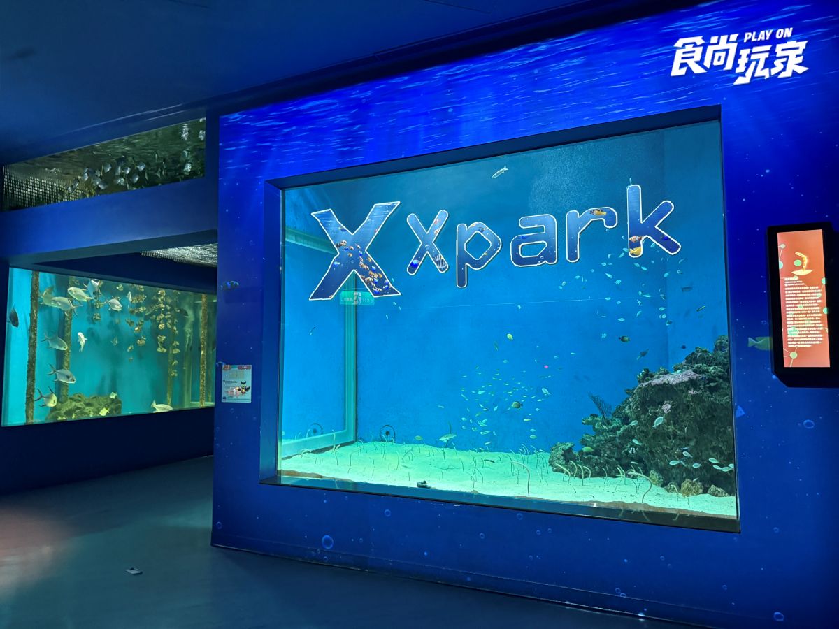 《動物森友會》角色出沒Xpark！免費玩任天堂遊戲機送貼紙，８折星光票回歸