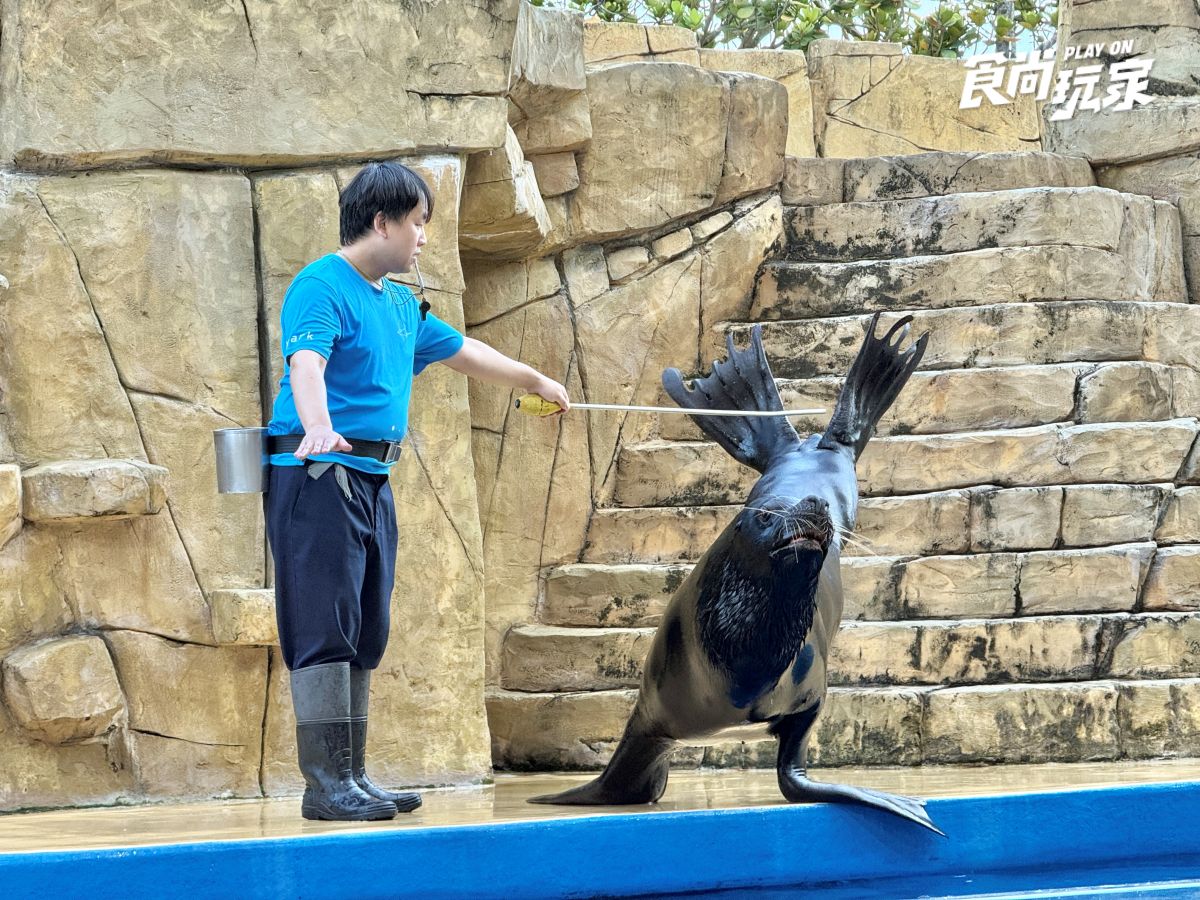 《動物森友會》角色出沒Xpark！免費玩任天堂遊戲機送貼紙，８折星光票回歸