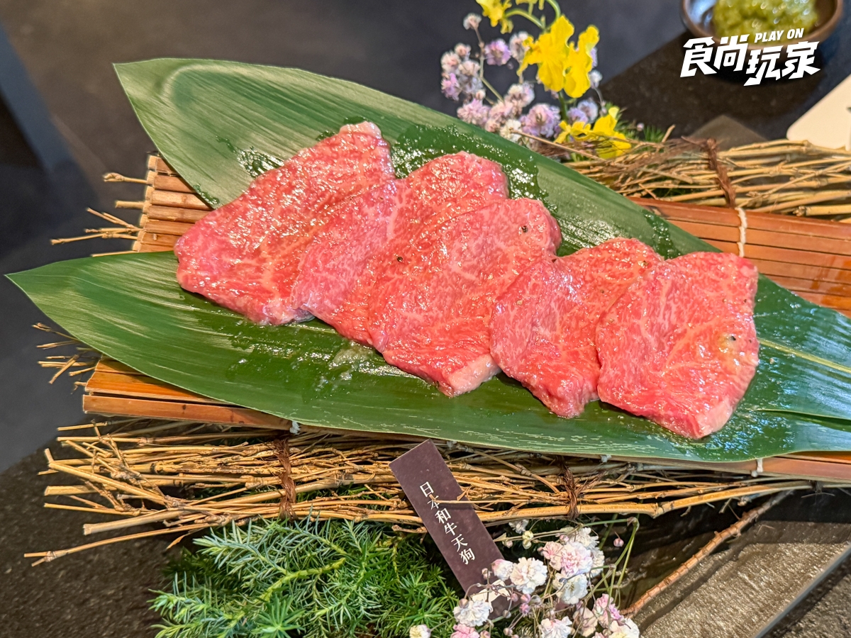 和牛燒肉千元有找！老乾杯菜單升級、壽司必吃，超稀少「天狗」限量供應
