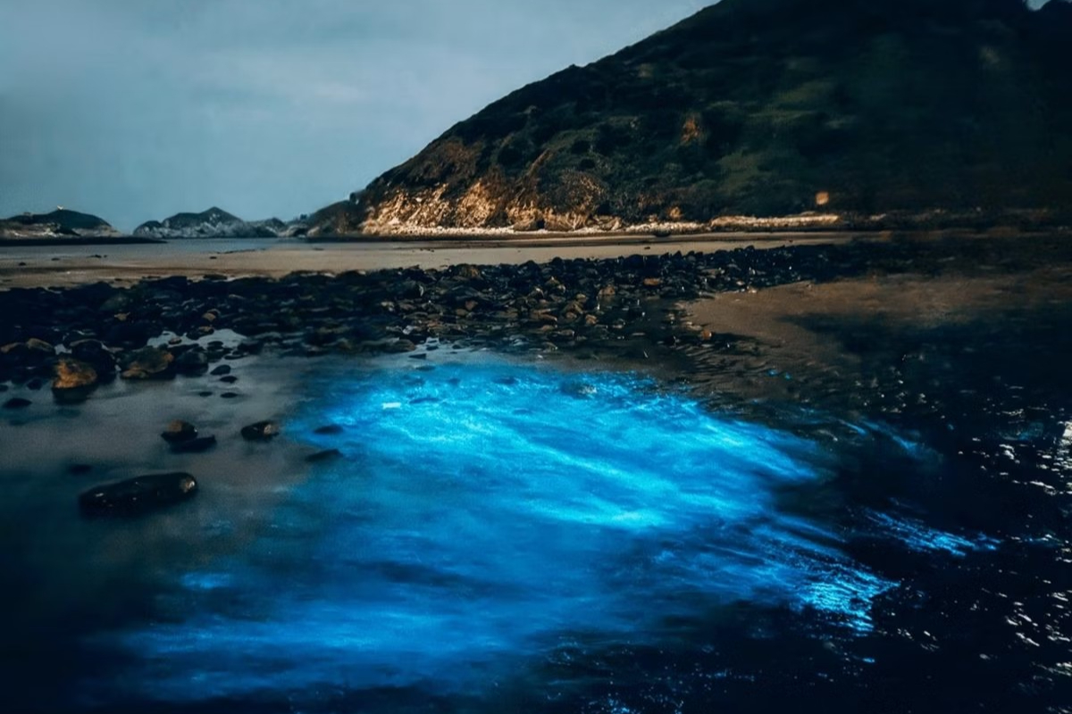 暑假衝離島！６大必玩玩法懶人包，花火節、海龜共游、藍眼淚、跳島行程一次看