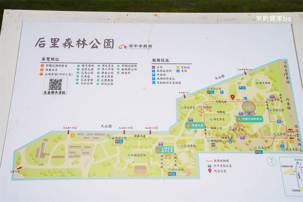 全台最大「搖籃遊戲場」免費玩!31座吊床、樹洞溜滑梯,森林系公園超放電 全台最大「搖籃遊戲場」免費玩!31座吊床、樹洞溜滑梯,森林系公園超放電