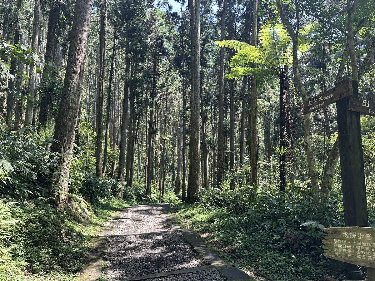 暑假放鬆免出國！２大森林避暑度假勝地推薦：入住綠意景觀房、美拍戶外泳池