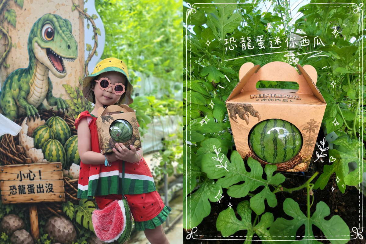 夏日限定「恐龍蛋迷你西瓜」開採啦！免門票入園，超萌西瓜吐司、西瓜酥帶回家
