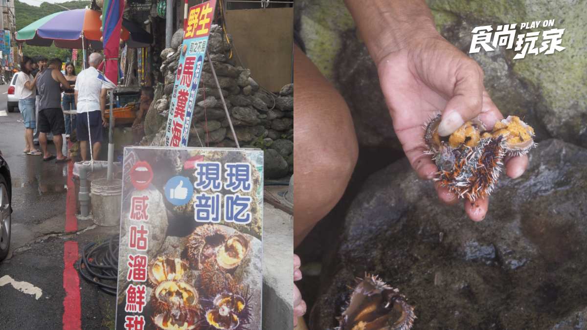 北海岸沙灘秘境！「攀繩索」下切才能抵達，順遊龜吼漁港吃現剖海膽、海鮮大餐