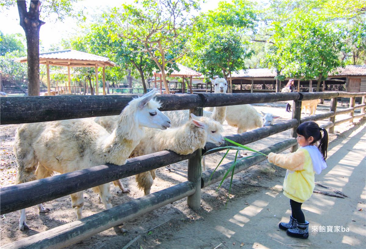 動物園、水樂園一票玩到底!台南高CP值親子景點玩整天,遊樂設施無限搭乘 動物園、水樂園一票玩到底!台南高CP值親子景點玩整天,遊樂設施無限搭乘