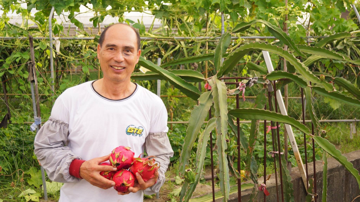 夏天吃冰消暑趣！動手DIY天然水果變「專屬冰棒」、果皮渣渣打造七彩蠟筆