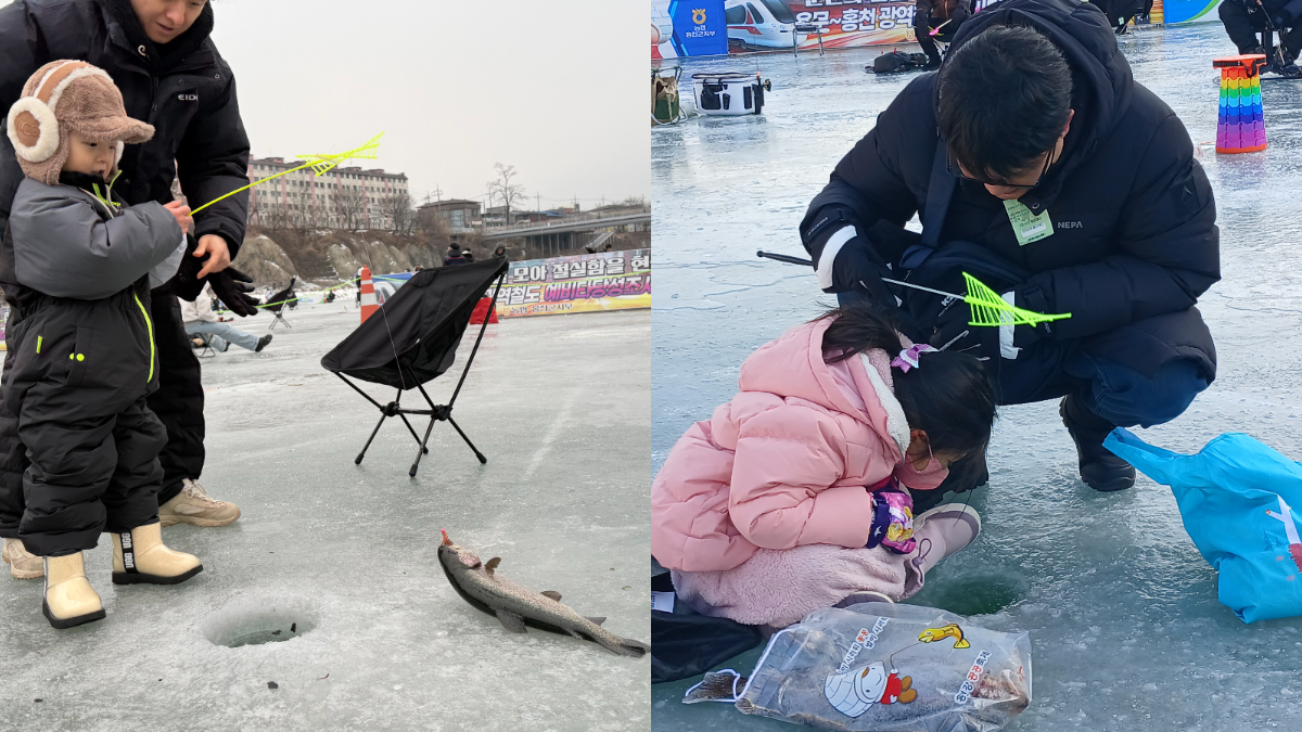 台灣人限定！韓國自由行優惠最低５折，黑白大廚開煮，秋冬再衝辣炒年糕節、鱒魚節