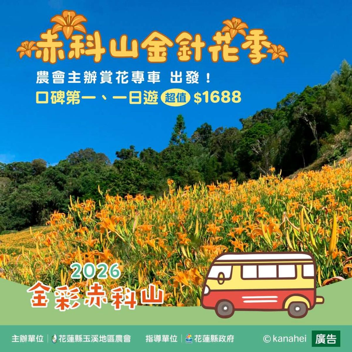 2026花蓮金針花季開跑！合照卡娜赫拉巨型氣球，賞花景點推薦、即時花況直播