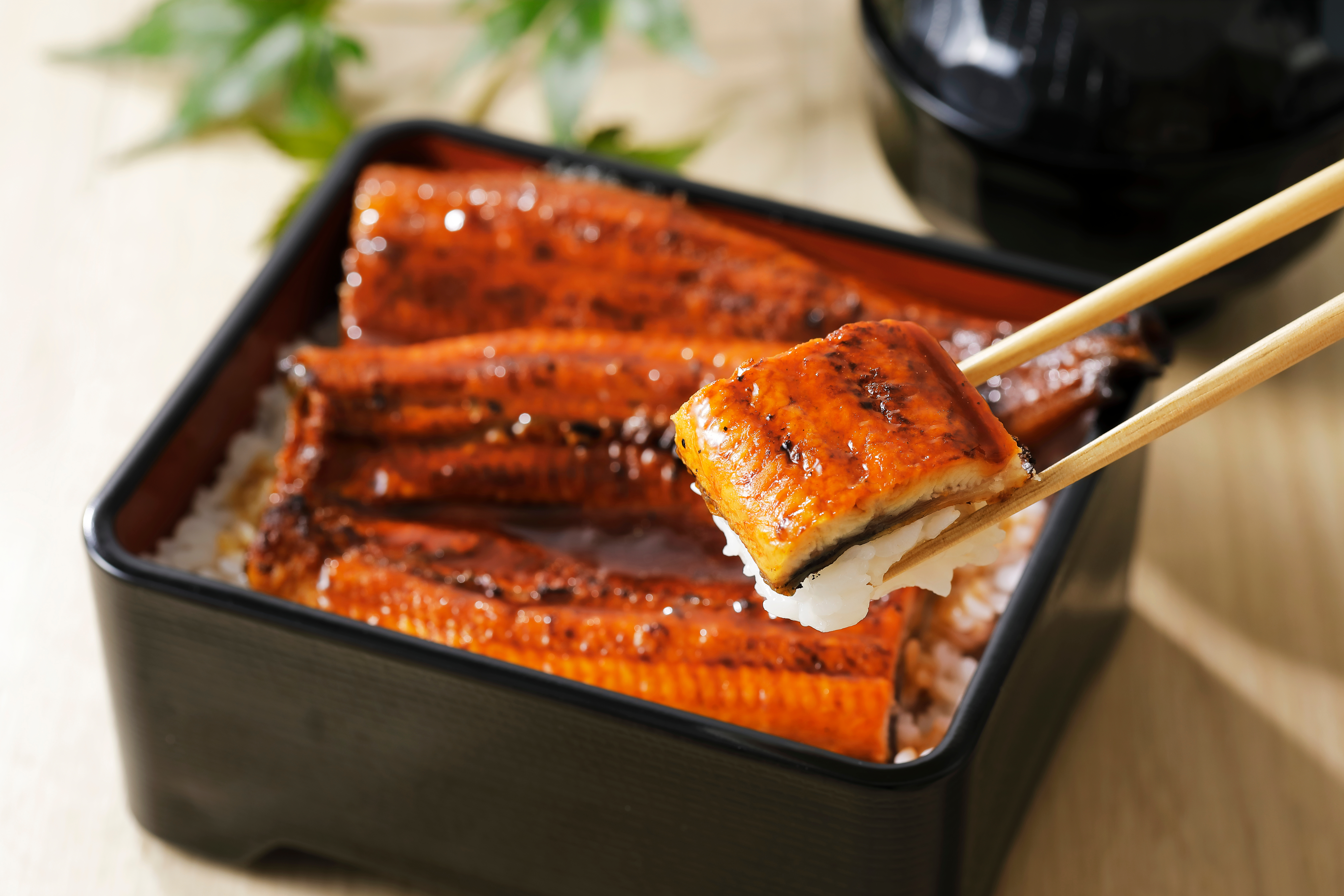 別只會吃壽司、拉麵！日本必吃美食Top10，第２名口感軟嫩、入口即化