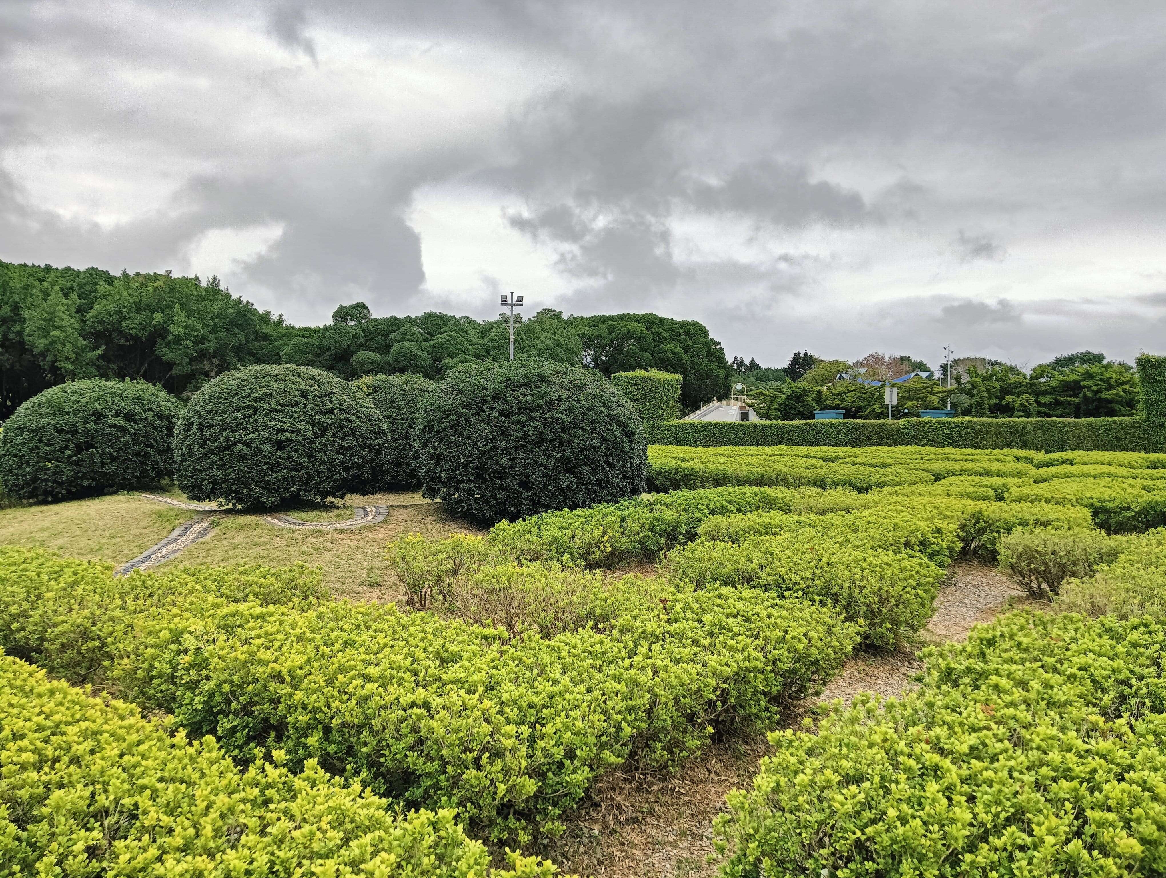 台北私房景點！這座植物園免門票、冷氣超強，外面有迷宮花園、巨型溜滑梯