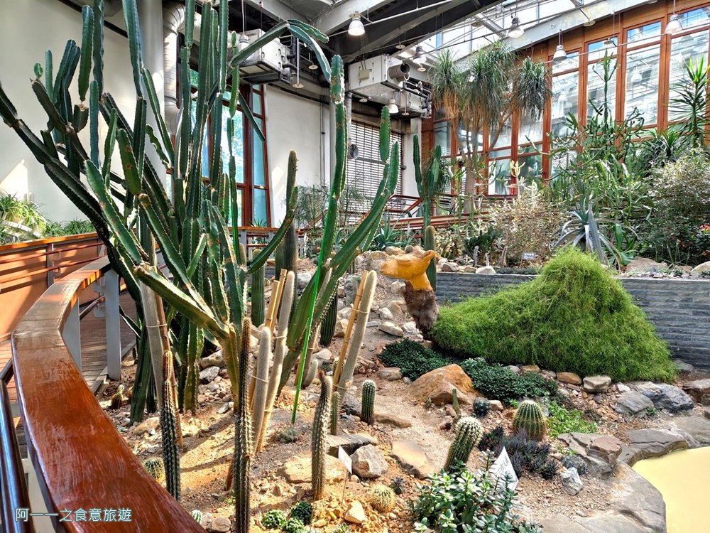 台北私房景點！這座植物園免門票、冷氣超強，外面有迷宮花園、巨型溜滑梯