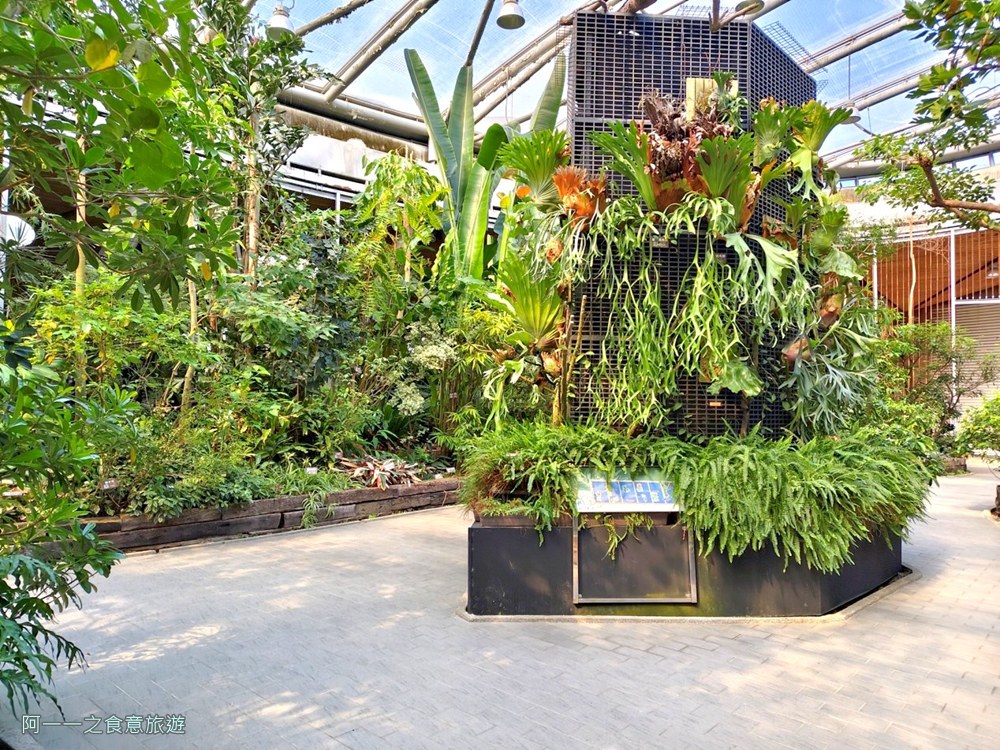 台北私房景點！這座植物園免門票、冷氣超強，外面有迷宮花園、巨型溜滑梯