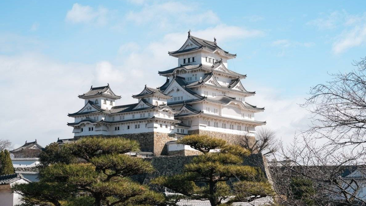 南部人終於等到!星宇高雄首飛神戶、沖繩,機票1萬2起再享線上旅展88折 南部人終於等到!星宇高雄首飛神戶、沖繩,機票1萬2起再享線上旅展88折