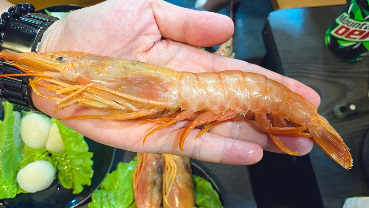 西門町20年老店吃到飽！火鍋破百種品項任吃，５種鮮蝦、螃蟹、哈根達斯通通有