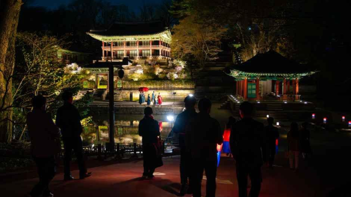 韓國古宮秋夜太浪漫！昌德宮月光之旅限量開搶，外國人限定場次僅４天