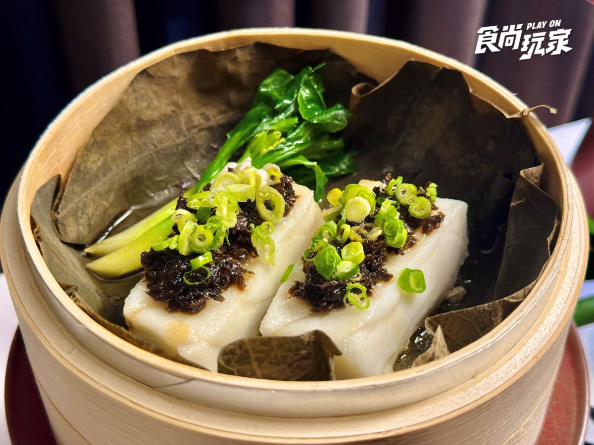 港星男神謝霆鋒也愛！香港米其林粵菜快閃來台，梅干蒸魚、木瓜上湯激推必點