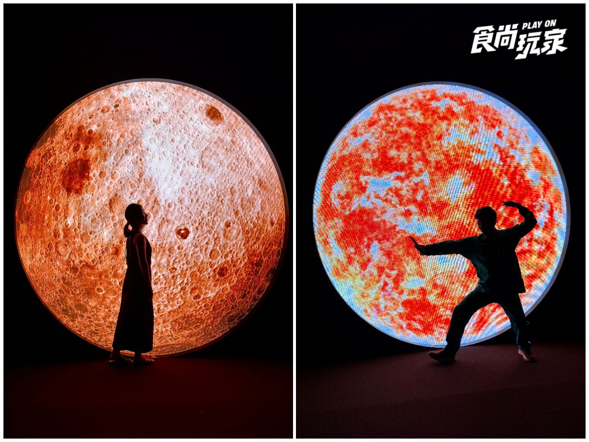 彩色鯨魚星空、璀璨花園美翻！「Immersify沉浸藝術展」14主題展區開箱