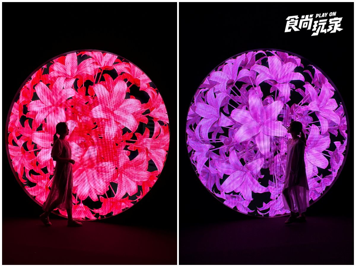 彩色鯨魚星空、璀璨花園美翻!「Immersify沉浸藝術展」14主題展區開箱 彩色鯨魚星空、璀璨花園美翻!「Immersify沉浸藝術展」14主題展區開箱