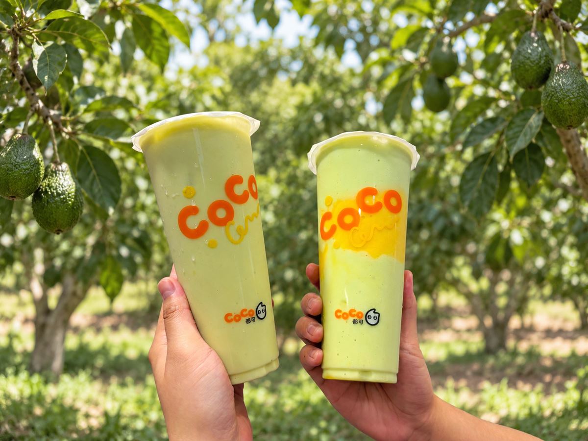 CoCo珍奶39元喝到月底！大苑子買一送一，再喝麻古茶坊「開心果」新品