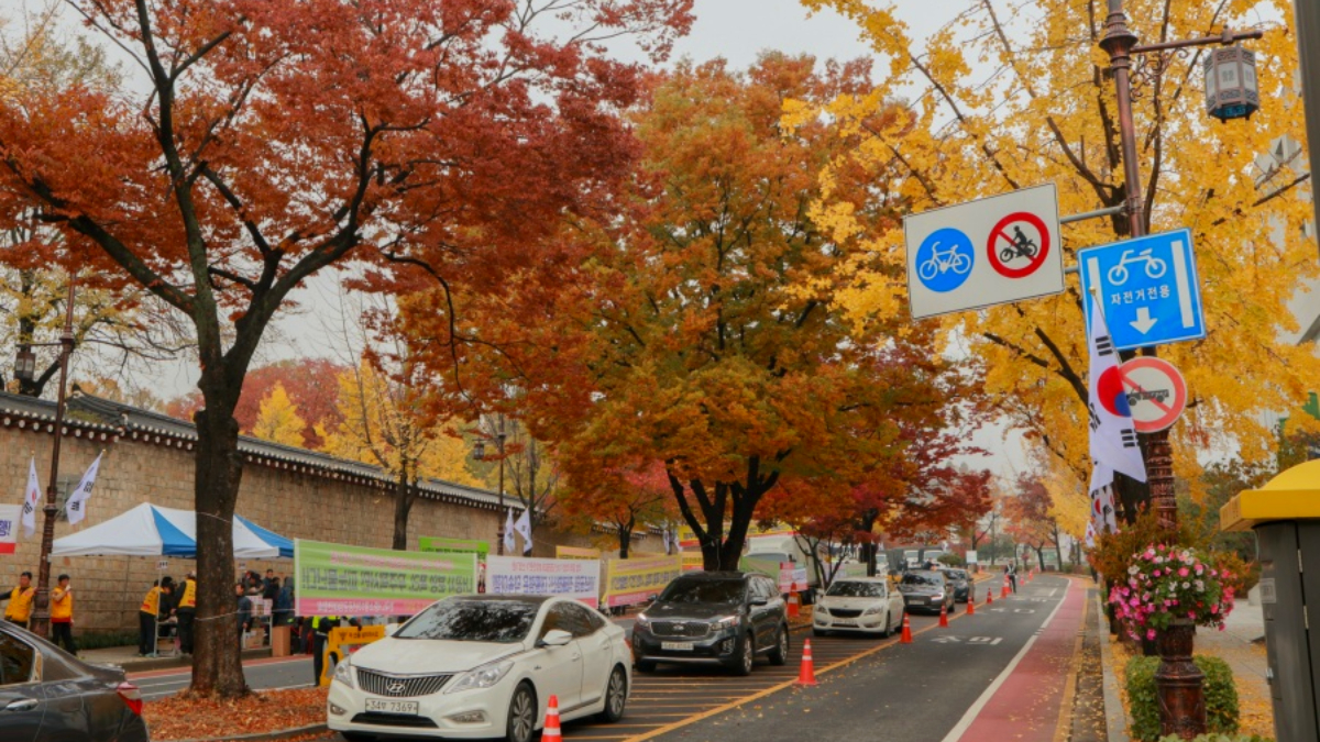 首爾10大賞楓景點!韓劇「鬼怪」打卡點、宮殿、銀杏大道、南山塔纜車看楓葉 首爾10大賞楓景點!韓劇「鬼怪」打卡點、宮殿、銀杏大道、南山塔纜車看楓葉