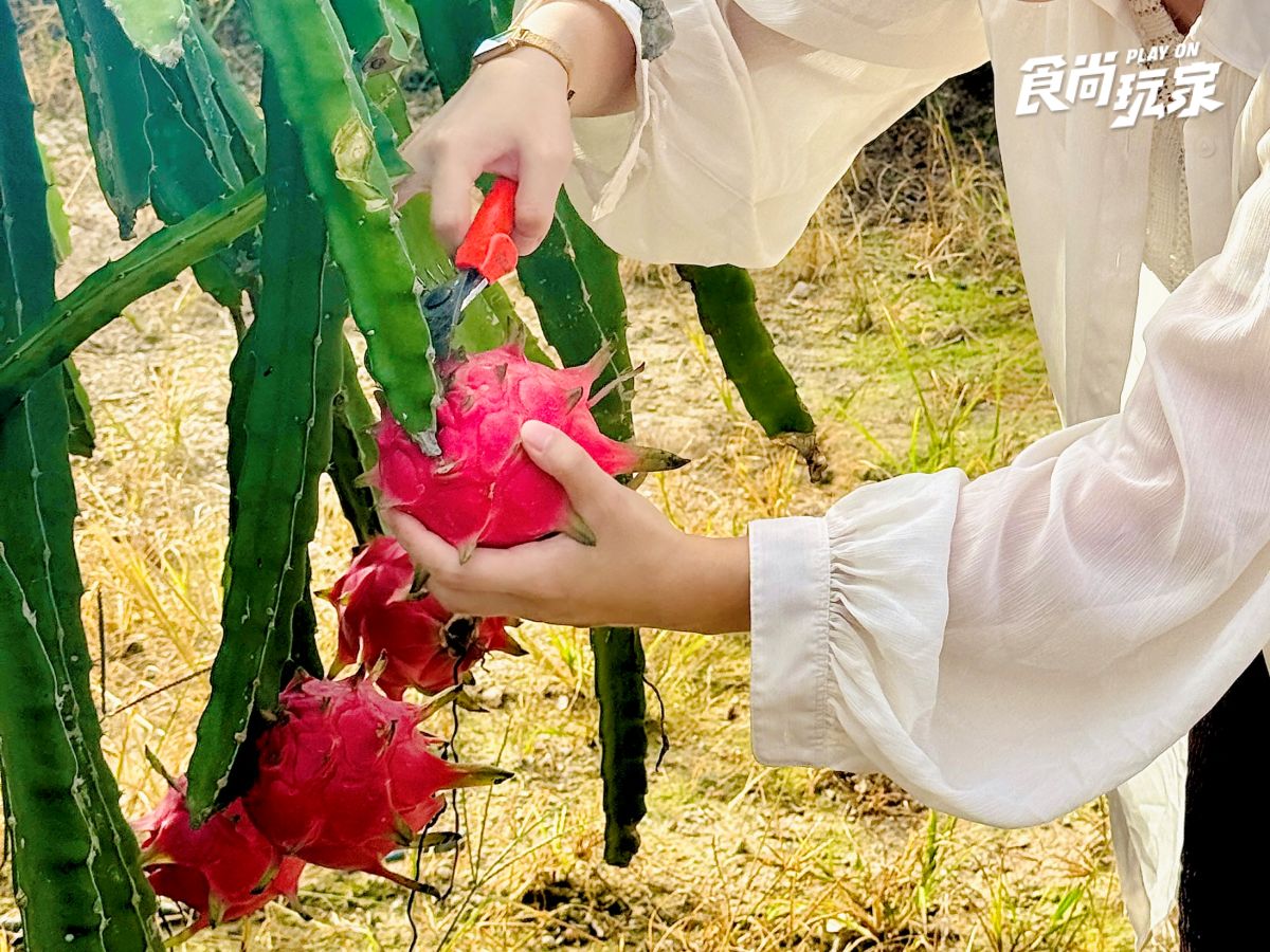 你沒玩過的馬來西亞！吉隆坡２近郊景點推薦：熱帶果園水果吃到飽、溼地探險