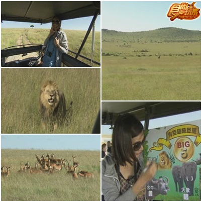 莎莎女王肯亞獵遊記 動物天堂馬賽馬拉
