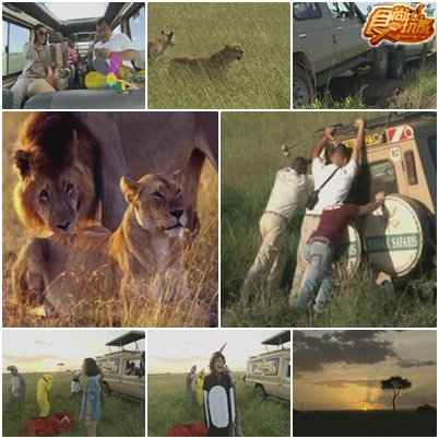 莎莎女王肯亞獵遊記 動物天堂馬賽馬拉