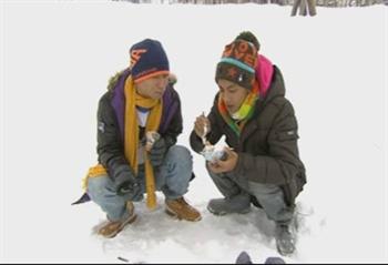 年終感謝祭北海道泡湯玩雪去 