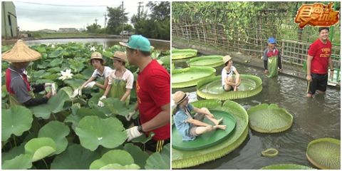 桃園五星級 省錢微旅行