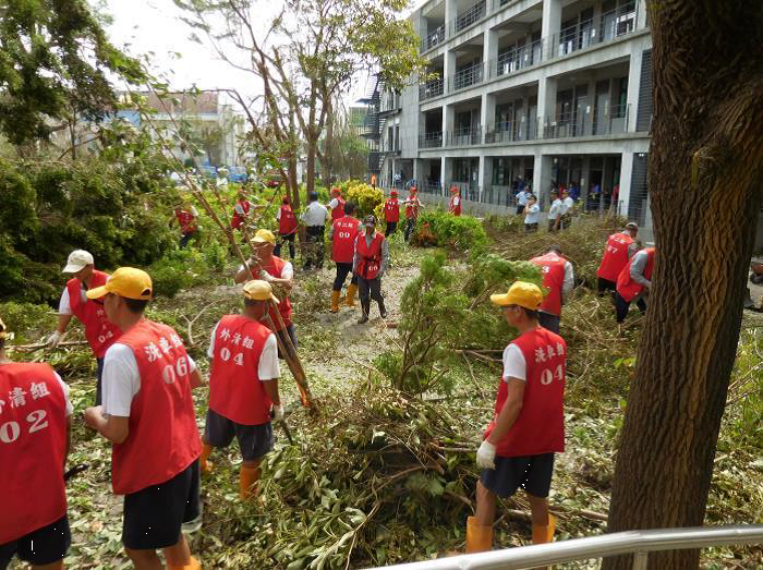 收容人聯合服務隊清理新生國中傾倒的樹木殘枝。圖／矯正署提供